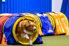 2023-AADTC-April-Trial-302