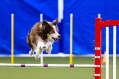 2023-AADTC-April-Trial-303