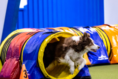 2023-AADTC-April-Trial-304