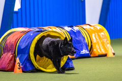 2023-AADTC-April-Trial-307