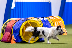 2023-AADTC-April-Trial-309