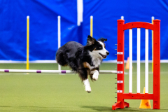 2023-AADTC-April-Trial-310