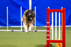 2023-AADTC-April-Trial-312