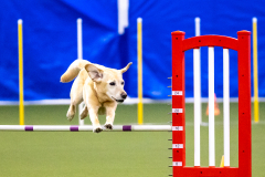 2023-AADTC-April-Trial-314