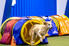 2023-AADTC-April-Trial-315