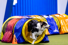 2023-AADTC-April-Trial-316