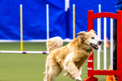 2023-AADTC-April-Trial-317