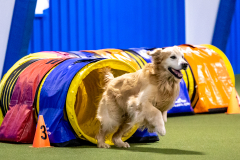 2023-AADTC-April-Trial-318