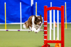 2023-AADTC-April-Trial-319