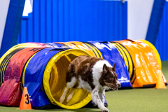 2023-AADTC-April-Trial-320