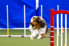 2023-AADTC-April-Trial-322