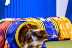 2023-AADTC-April-Trial-323