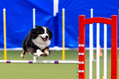 2023-AADTC-April-Trial-324