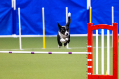 2023-AADTC-April-Trial-328