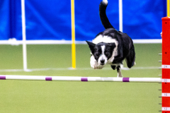 2023-AADTC-April-Trial-329