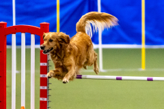 2023-AADTC-April-Trial-330