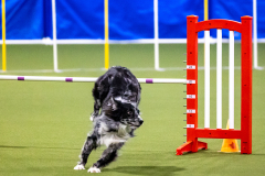 2023-AADTC-April-Trial-331