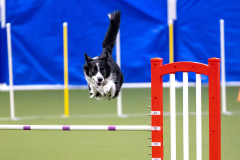 2023-AADTC-April-Trial-332