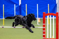 2023-AADTC-April-Trial-338