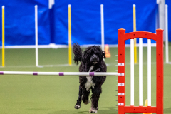 2023-AADTC-April-Trial-339