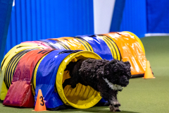 2023-AADTC-April-Trial-340