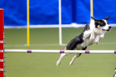 2023-AADTC-April-Trial-341