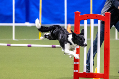 2023-AADTC-April-Trial-343