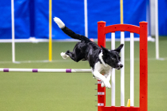 2023-AADTC-April-Trial-344