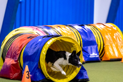 2023-AADTC-April-Trial-345