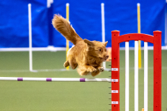 2023-AADTC-April-Trial-346