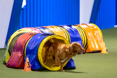 2023-AADTC-April-Trial-347