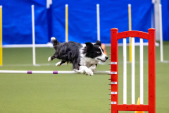 2023-AADTC-April-Trial-348