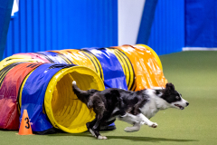 2023-AADTC-April-Trial-349