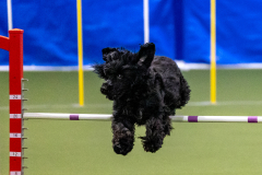 2023-AADTC-April-Trial-352