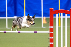 2023-AADTC-April-Trial-354