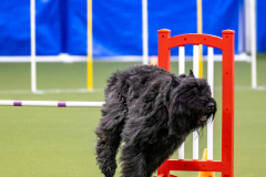 2023-AADTC-April-Trial-360