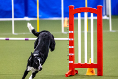 2023-AADTC-April-Trial-362