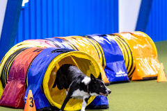 2023-AADTC-April-Trial-363