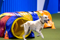 2023-AADTC-April-Trial-365