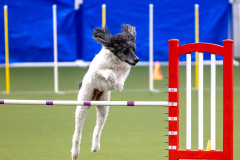 2023-AADTC-April-Trial-366