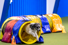 2023-AADTC-April-Trial-367