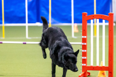 2023-AADTC-April-Trial-368