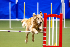 2023-AADTC-April-Trial-370