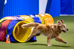 2023-AADTC-April-Trial-371