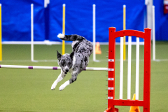 2023-AADTC-April-Trial-372