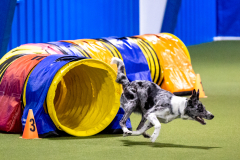 2023-AADTC-April-Trial-373