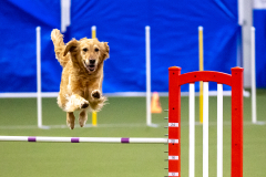 2023-AADTC-April-Trial-376