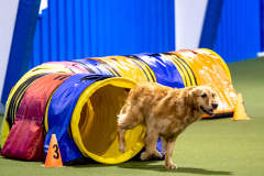 2023-AADTC-April-Trial-377