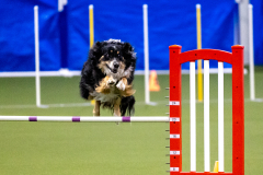 2023-AADTC-April-Trial-378