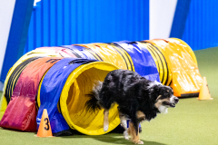 2023-AADTC-April-Trial-379